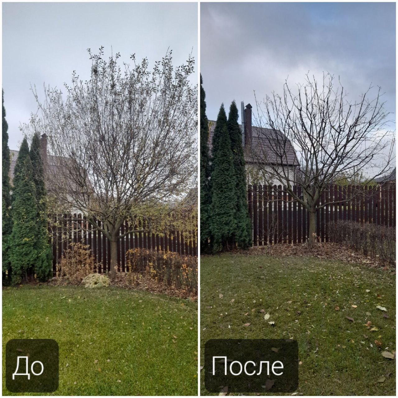 Уход за садом
