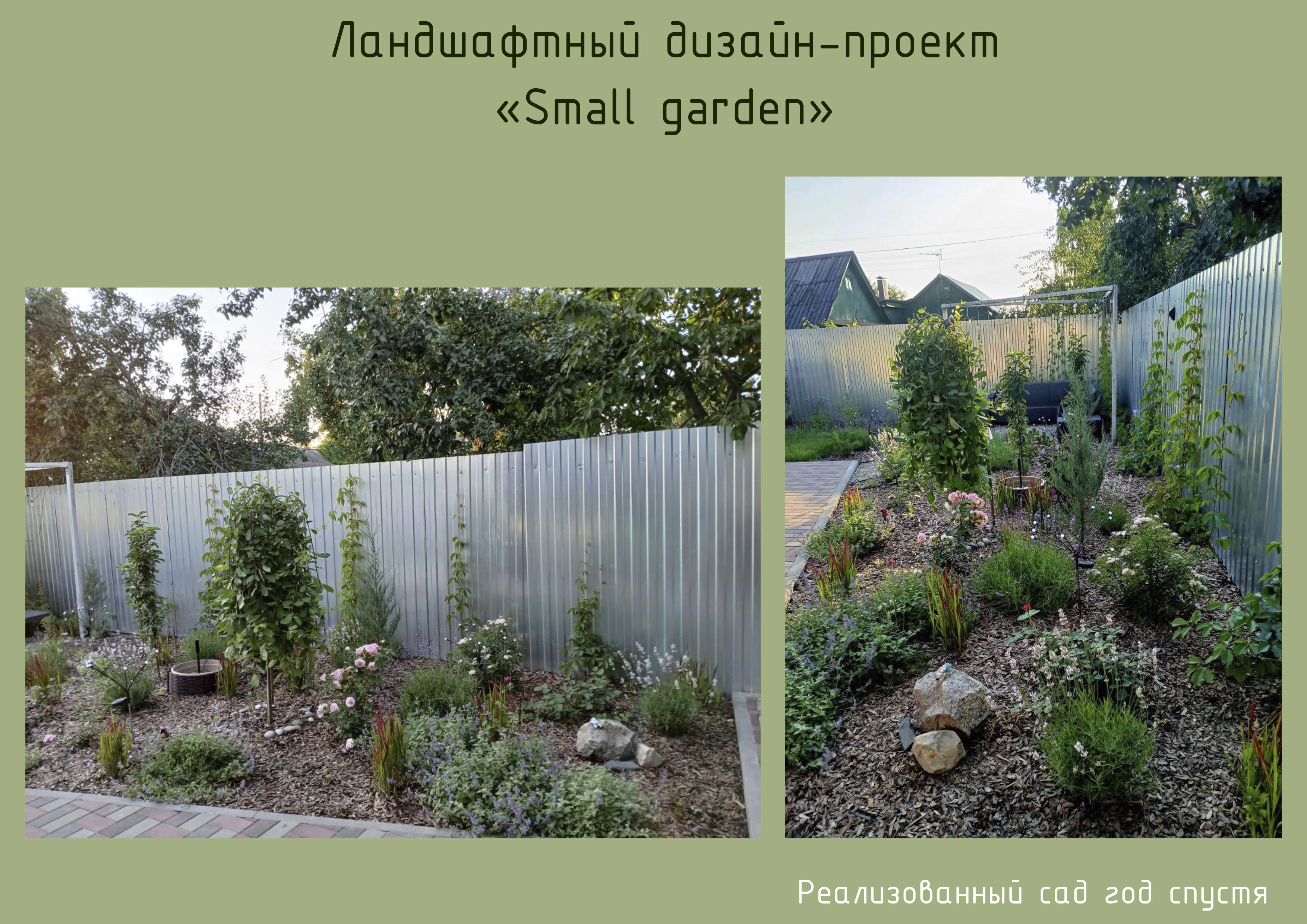 Small Garden
