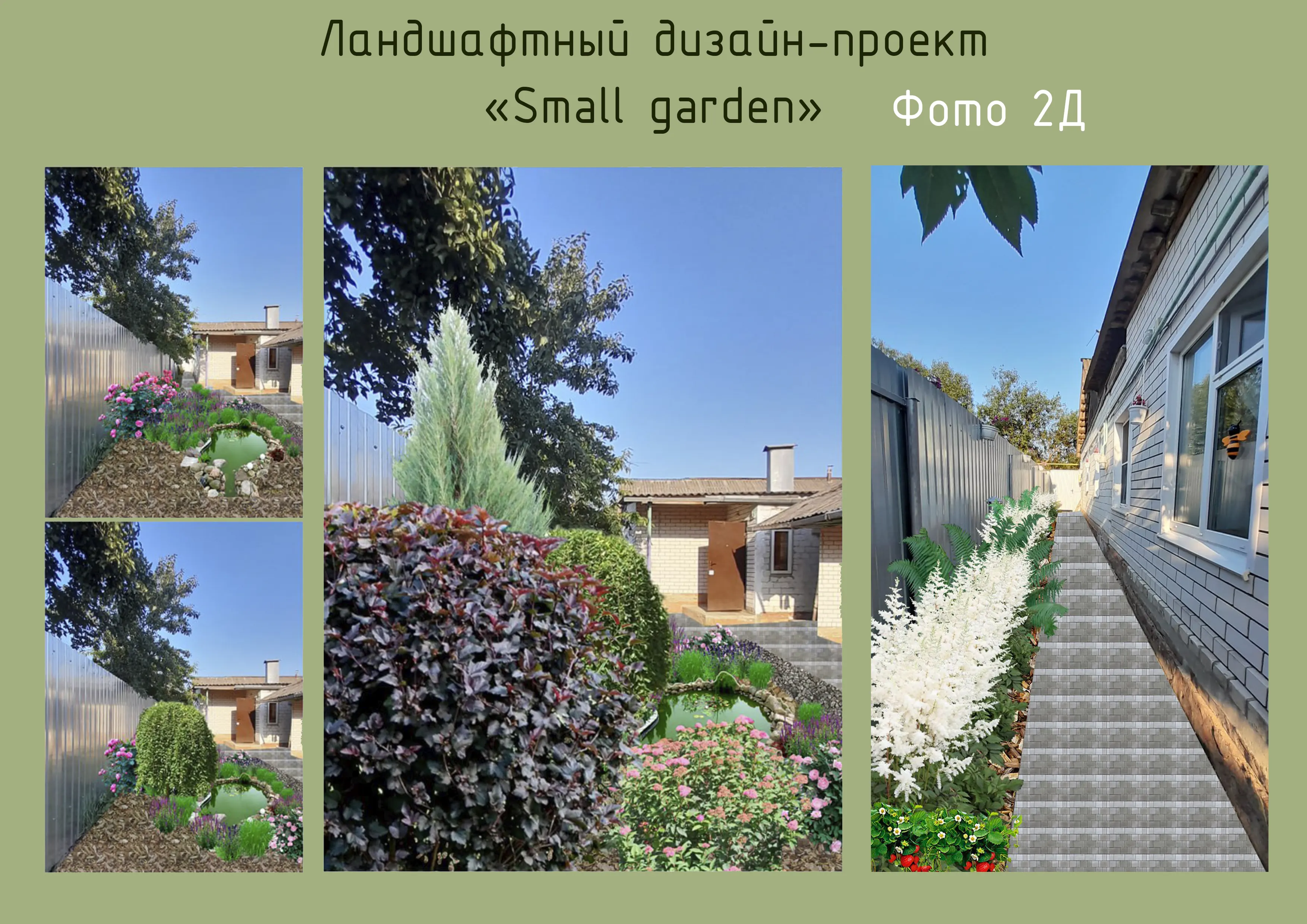 Small Garden